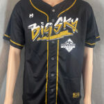 Little league Baseball Jersey
