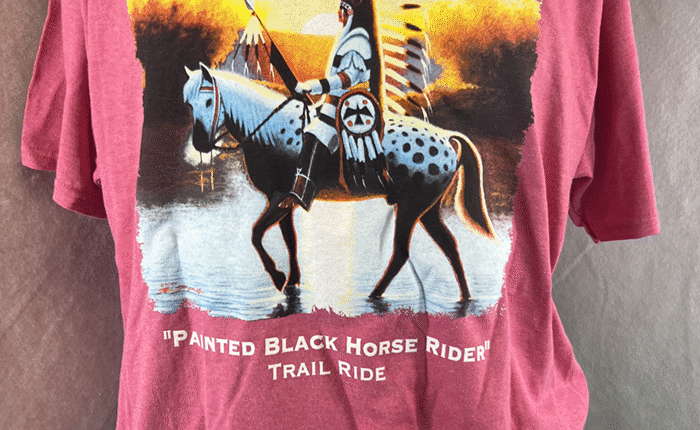 A beautiful horse design