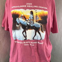 A beautiful horse design