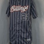 Pinstripe Sublimated Jersey